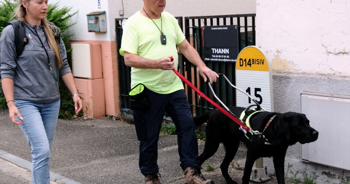 Cernay, Cannelle, Lima, Urus: três cães para guiar Gilbert
