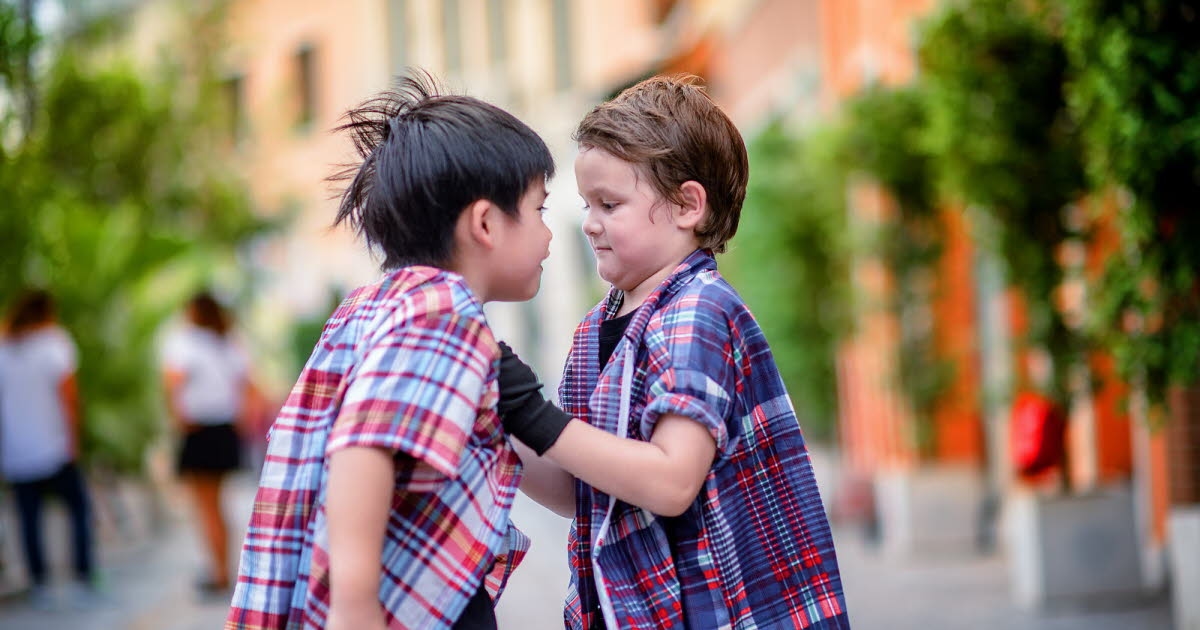 Health - Psychology. Aggressive Child with Classmates: How to React?