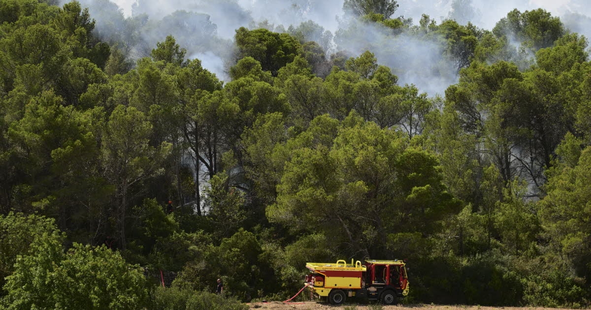 En direct. Vague de chaleur : risque élevé d'incendie dans 29 départements, 14 en vigilance rouge canicule