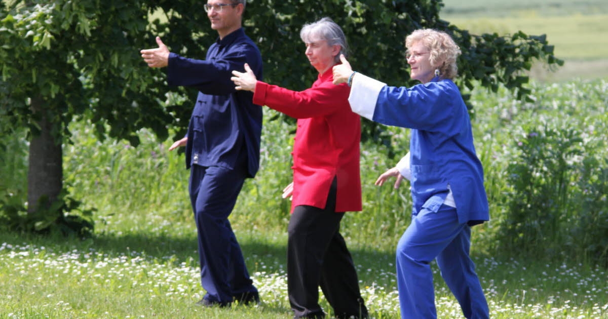 Strasbourg - Bischoffsheim - Batzendorf. Tai chi and chi gong classes resume from September 8