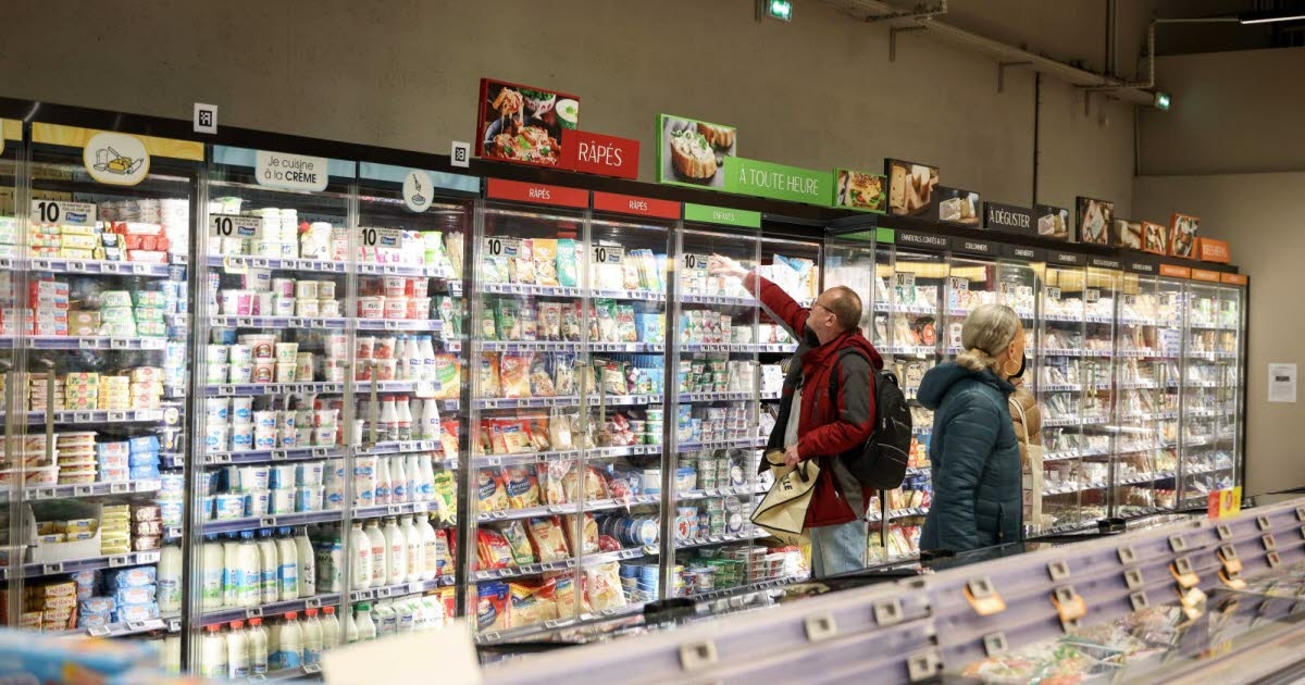 Consommation. Camemberts, chèvres, bries : plus de 40 fromages rappelés pour suspicion de listeria