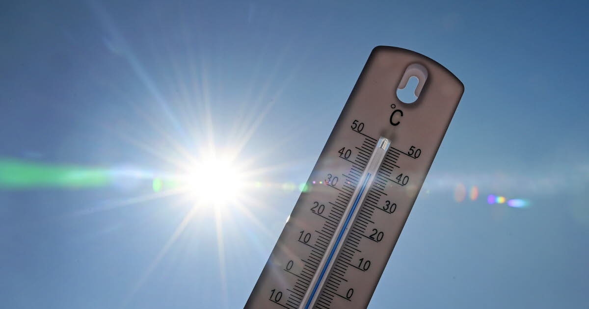 Environnement. Nord de l’Europe : une vague de chaleur inédite amplifiée par le changement climatique
