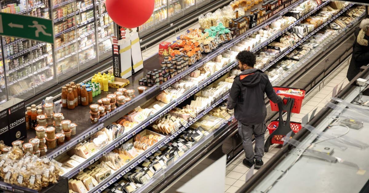 Tüketim. Listeriozis vakaları: Coulommiers, Camembert, keçi peyniri... Hangi peynirler geri çağrılıyor?