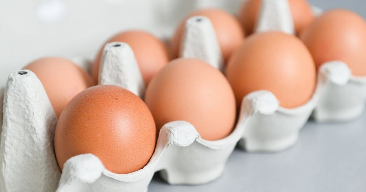 Environment. Fish, eggs, milk... These foods contain high levels of PFAS
