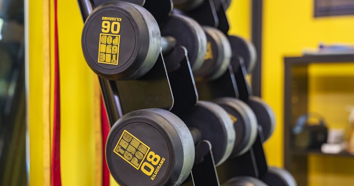 Ich habe versucht, Proteinpulver zu Hause mit nur 3 Zutaten herzustellen