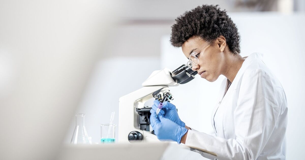 Alzheimer's breakthrough as scientists use living human brain tissue as they hunt for cure