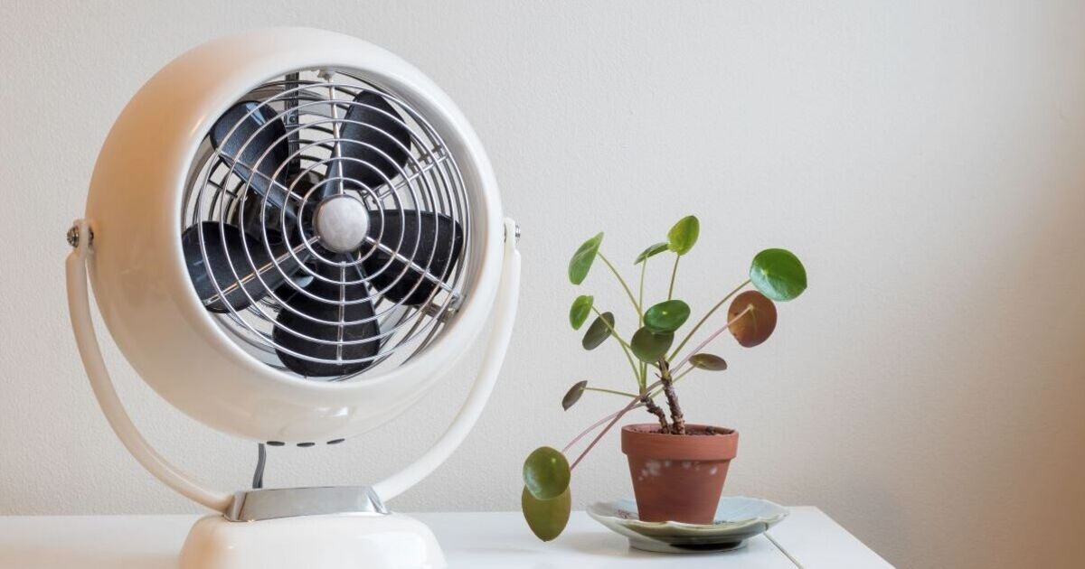 Experto revela la razón por la que no debes dejar el ventilador encendido durante la noche