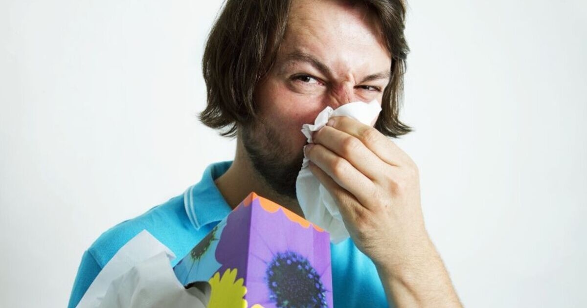 Brits offered crucial “two-stage” remedy to help beat hay fever