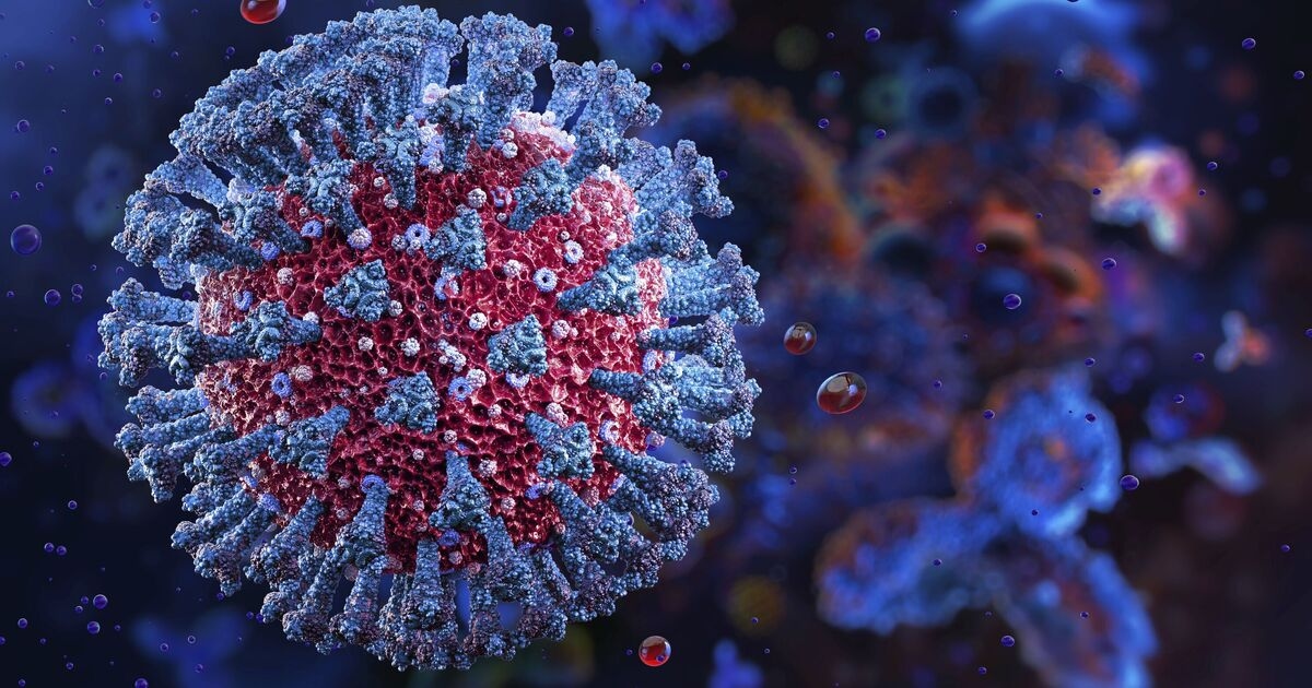 La variante Nimbus del Covid-19 provoca un aumento de hospitalizaciones mientras la cepa NB.1.8.1 afecta al Reino Unido