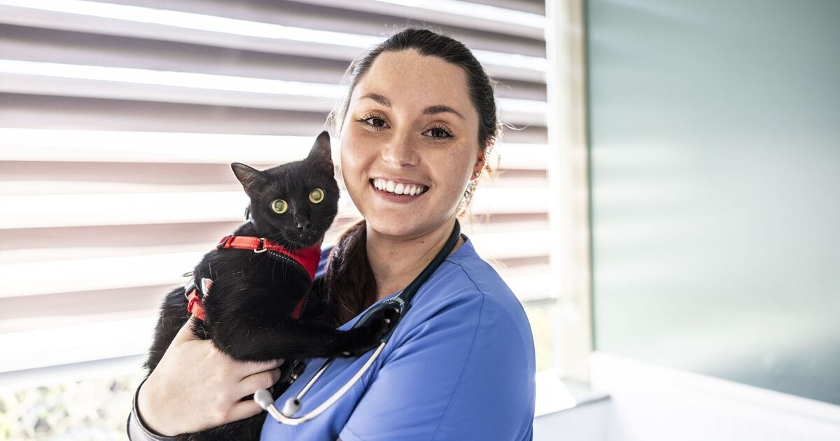 Una enfermera veterinaria comparte medidas importantes a tomar si su gato deja de respirar