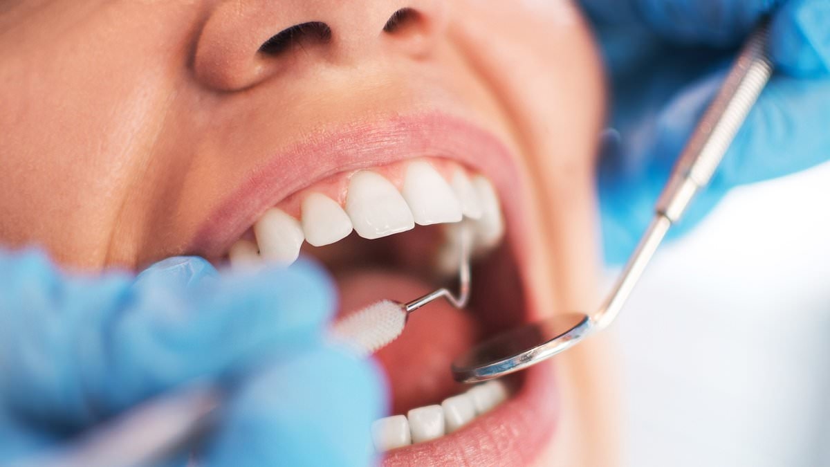 NHS facing dangerous shortage of dentists as there are 'only enough fully trained practitioners to fill one in 12 vacancies'