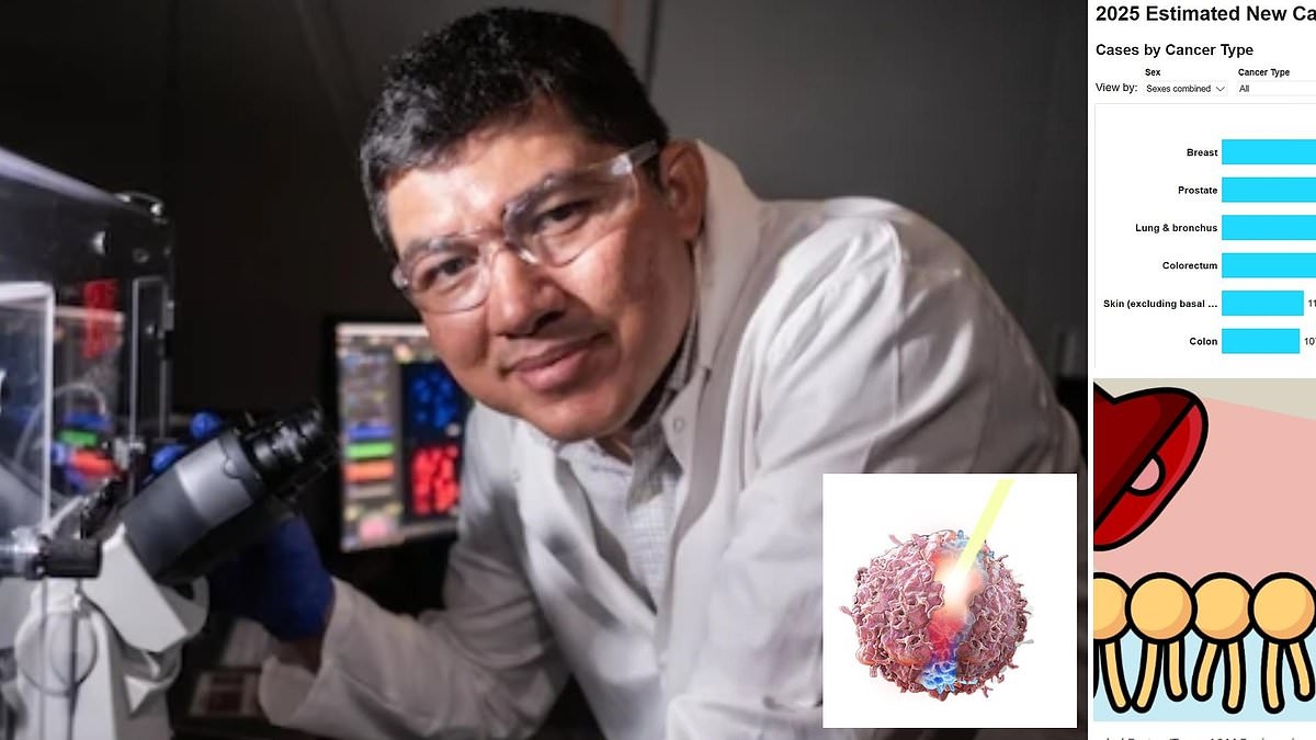 Un avance contra el cáncer: los médicos descubren una forma de eliminar los tumores sin quimioterapia