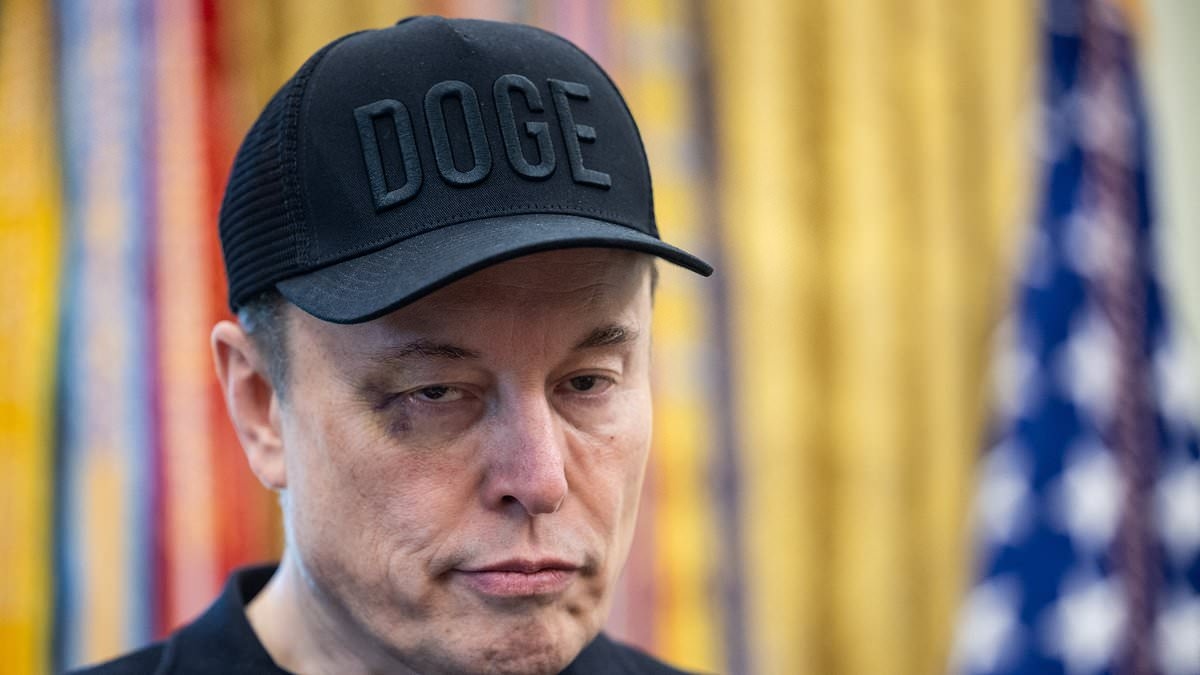 Elon Musk veröffentlicht Ergebnisse eines Drogentests, nachdem eine angebliche Sucht seinen Auftritt im Weißen Haus von Trump ruiniert hatte