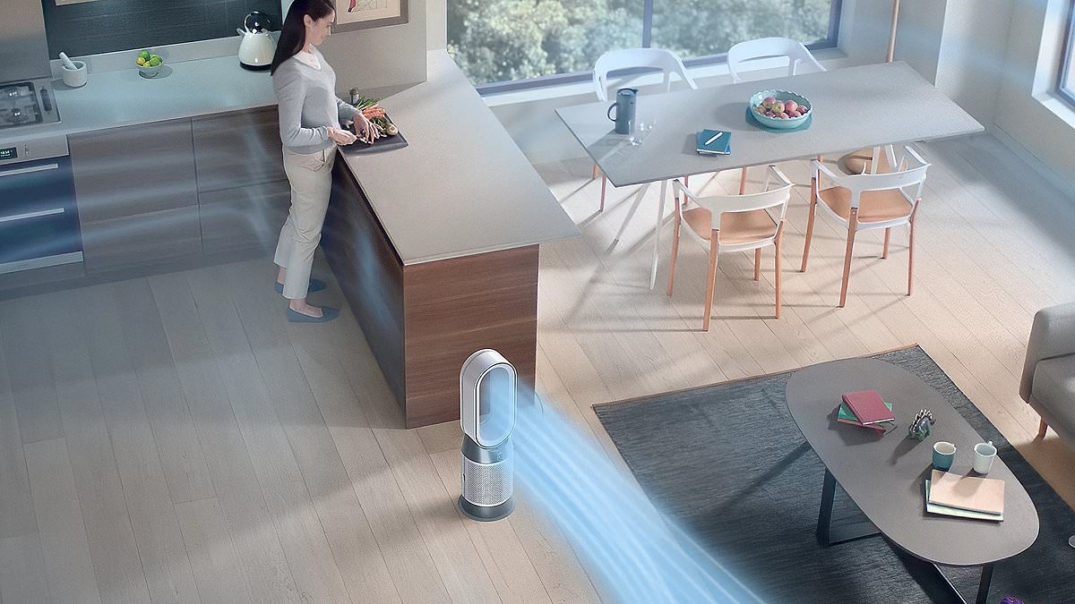 Utilizzare un purificatore d'aria in casa può ridurre il rischio di infarti