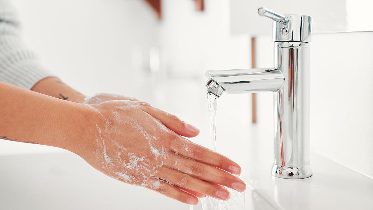 Urgent recall for popular soap over fears of DEADLY sickness that can cause organ damage