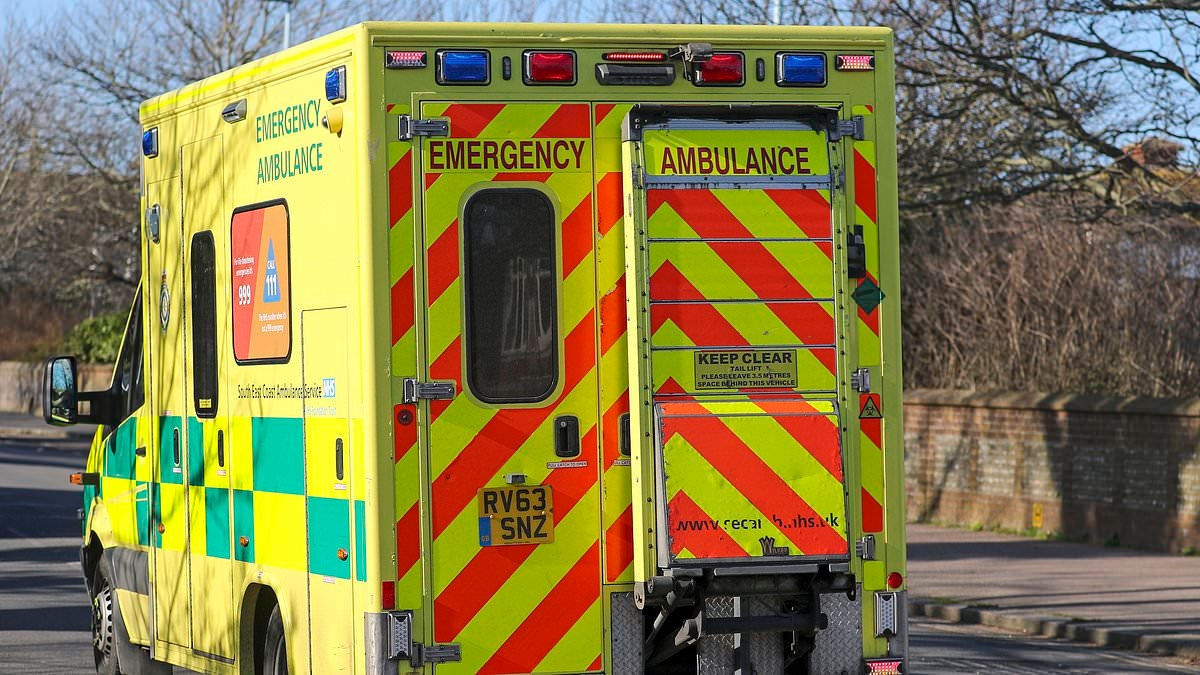 Now thousands give up trying to get an ambulance to A&E and 'are finding their own way to hospital'