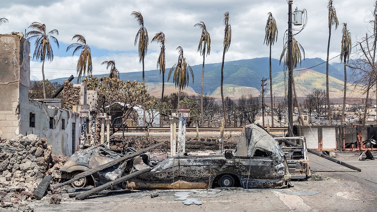 La réalité dévastatrice derrière la flambée des décès sur une île hawaïenne populaire
