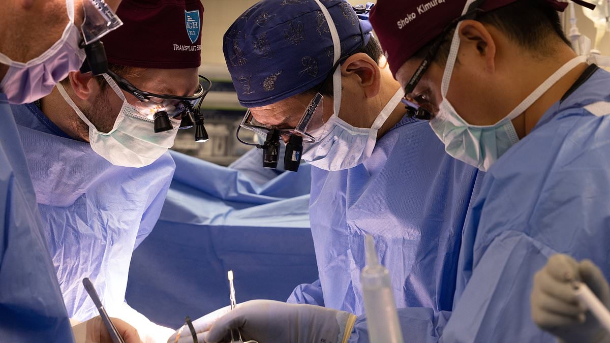 FDA approves first clinical trials transplanting pig organs into humans