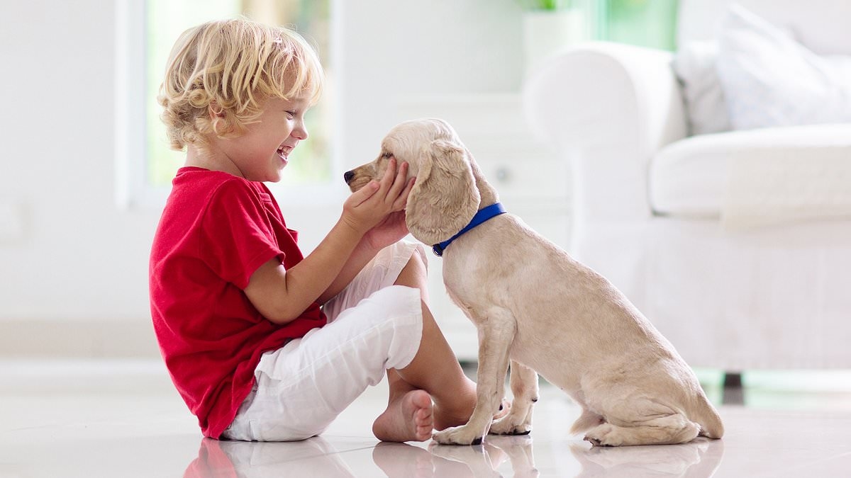 Il motivo sorprendente per cui crescere con i cani (e non con i gatti) può essere positivo per la salute