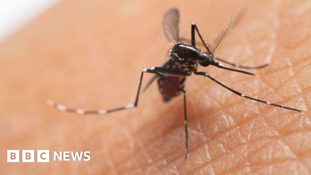 UK cases of mosquito-borne virus more than double