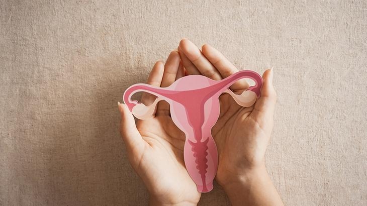 Jakie są różnice między zespołem policystycznych jajników a zespołem policystycznych jajników (PCOS)? Objawy, proces diagnozy i metody leczenia
