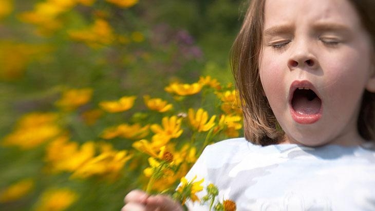 Don't underestimate the runny nose! Pollen allergy continues throughout the summer
