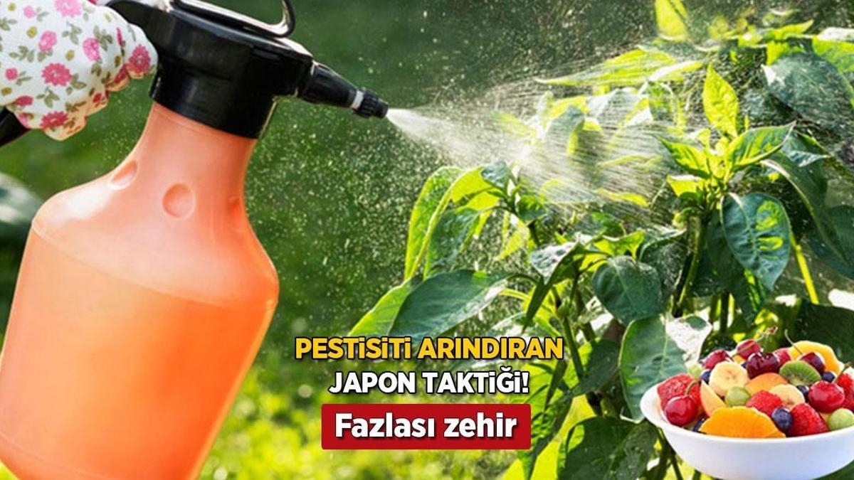 Japanese tactic to destroy pesticides in fruits and vegetables! 2 ingredients at home are enough