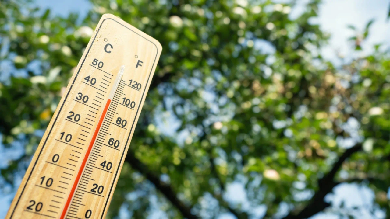 Jak wysokie temperatury wpływają na mózg? Eksperci podpowiadają, jak go chronić.