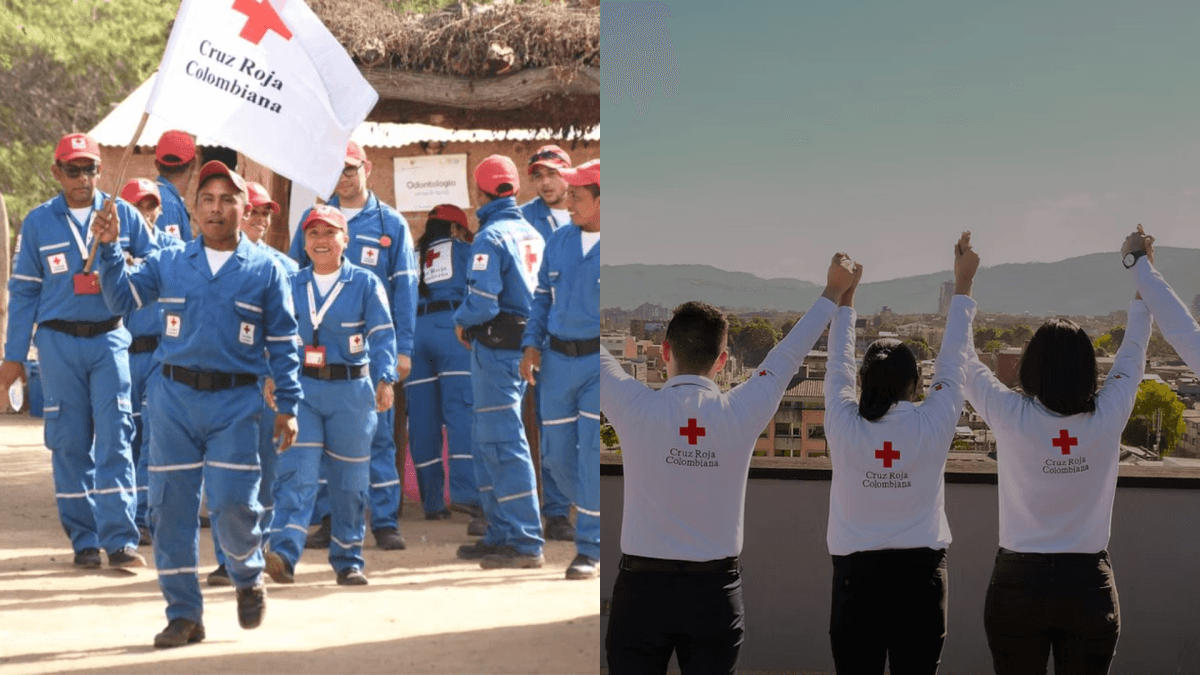 The Red Cross and Voz Mayor have joined forces to launch the 60+ Certification, a seal that recognizes companies committed to older adults.