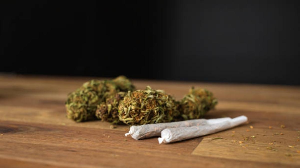 Secondo uno studio, il consumo di cannabis raddoppia il rischio di morte per malattie cardiovascolari.