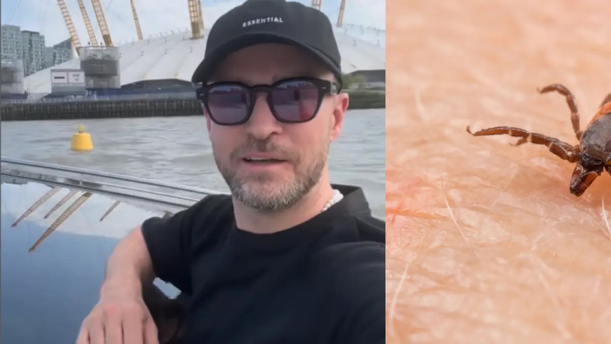 Şarkıcı Justin Timberlake ve diğer sanatçılara teşhis konulan Lyme hastalığı nedir? Kene kaynaklıdır.