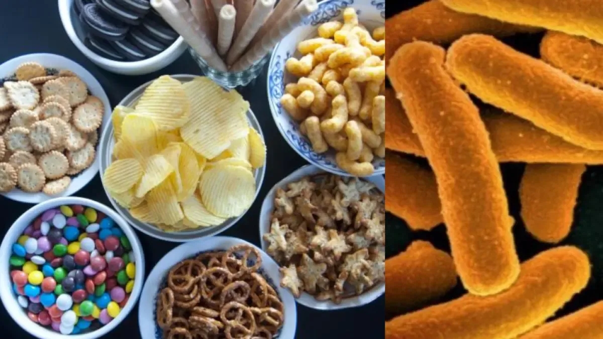 Genes from antibiotic-resistant bacteria are sneaking into food: this was found in more than 2,000 samples of processed foods in Europe.