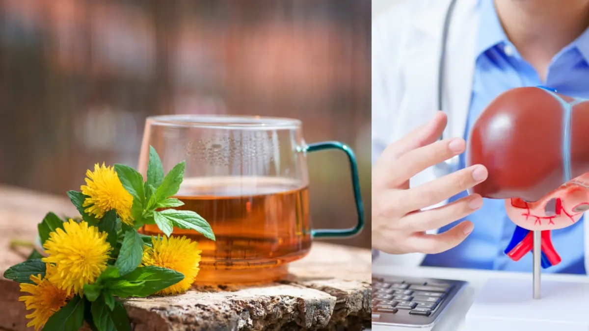 L'erba efficace che aiuta a prevenire la cirrosi epatica, curare il fegato grasso e ridurre l'infiammazione