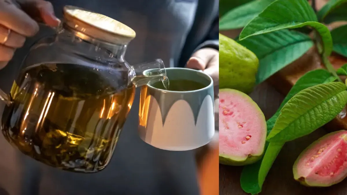The healing properties of guava leaf tea: how to prepare it and what it's good for, according to science