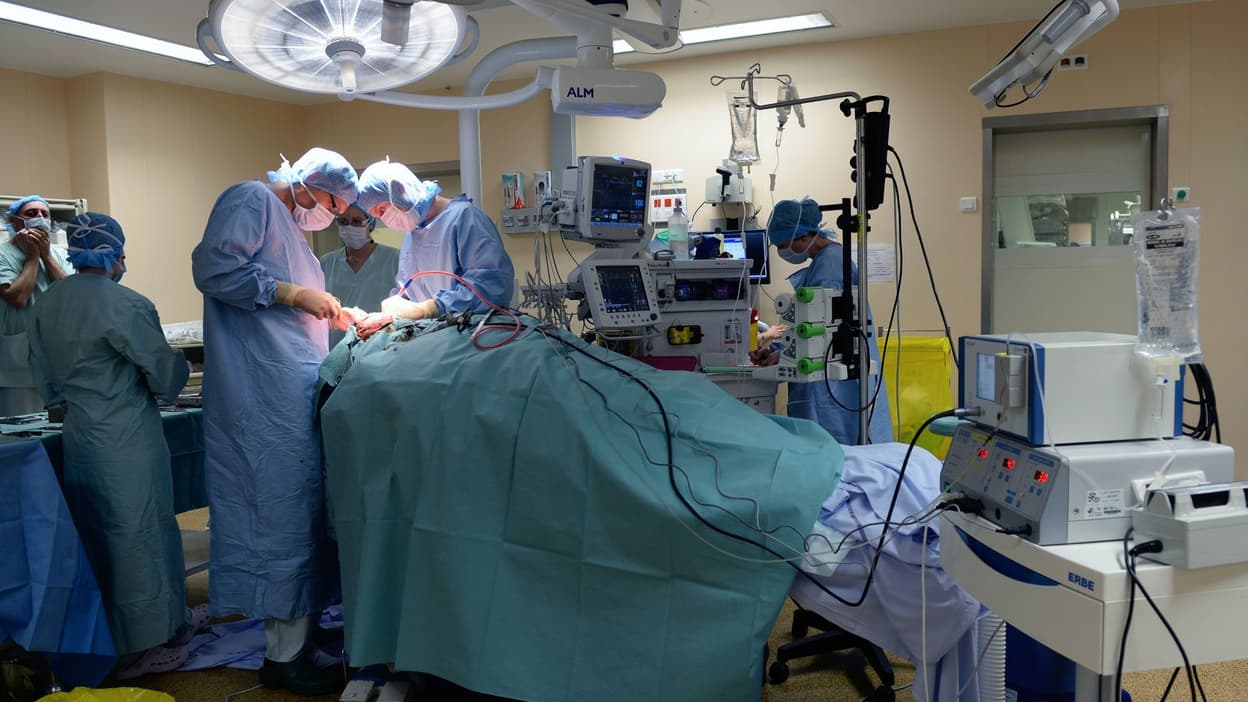 „Unendlich dankbar“: Eine vierte Gebärmuttertransplantation in Frankreich erfolgreich durchgeführt