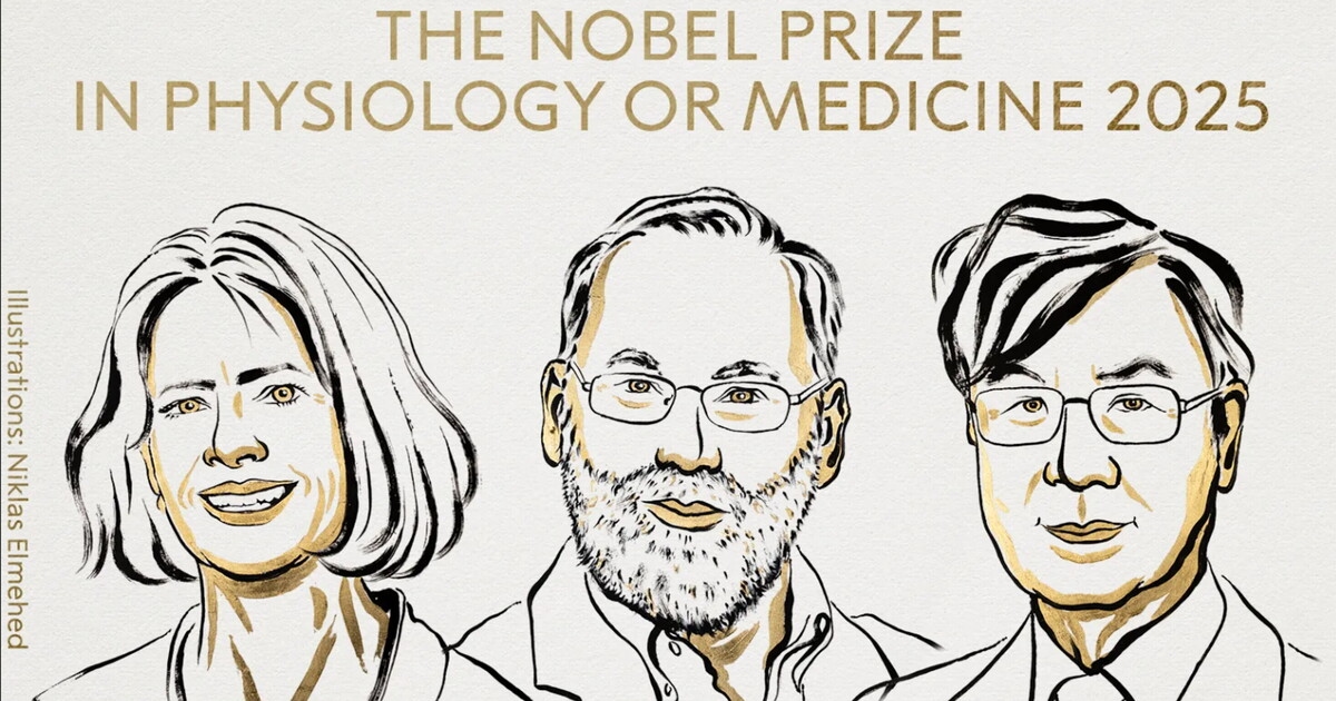 Bağışıklığı yavaşlatan hücrelerin sırrı 2025 Nobel Tıp Ödülü'yle ortaya çıktı.