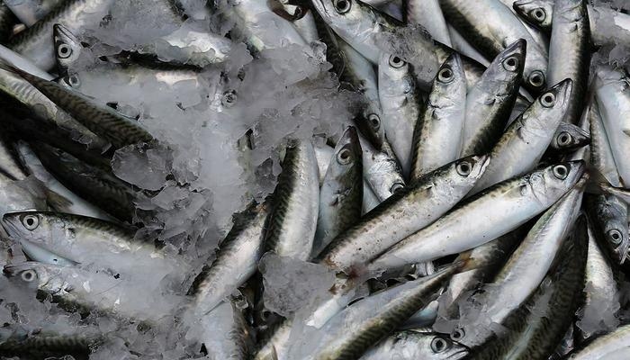 El sabor que retrasa el envejecimiento: ¡Sardina! El legado del sabor del Egeo Norte, un apoyo natural para la salud de la piel, el cabello y las uñas...