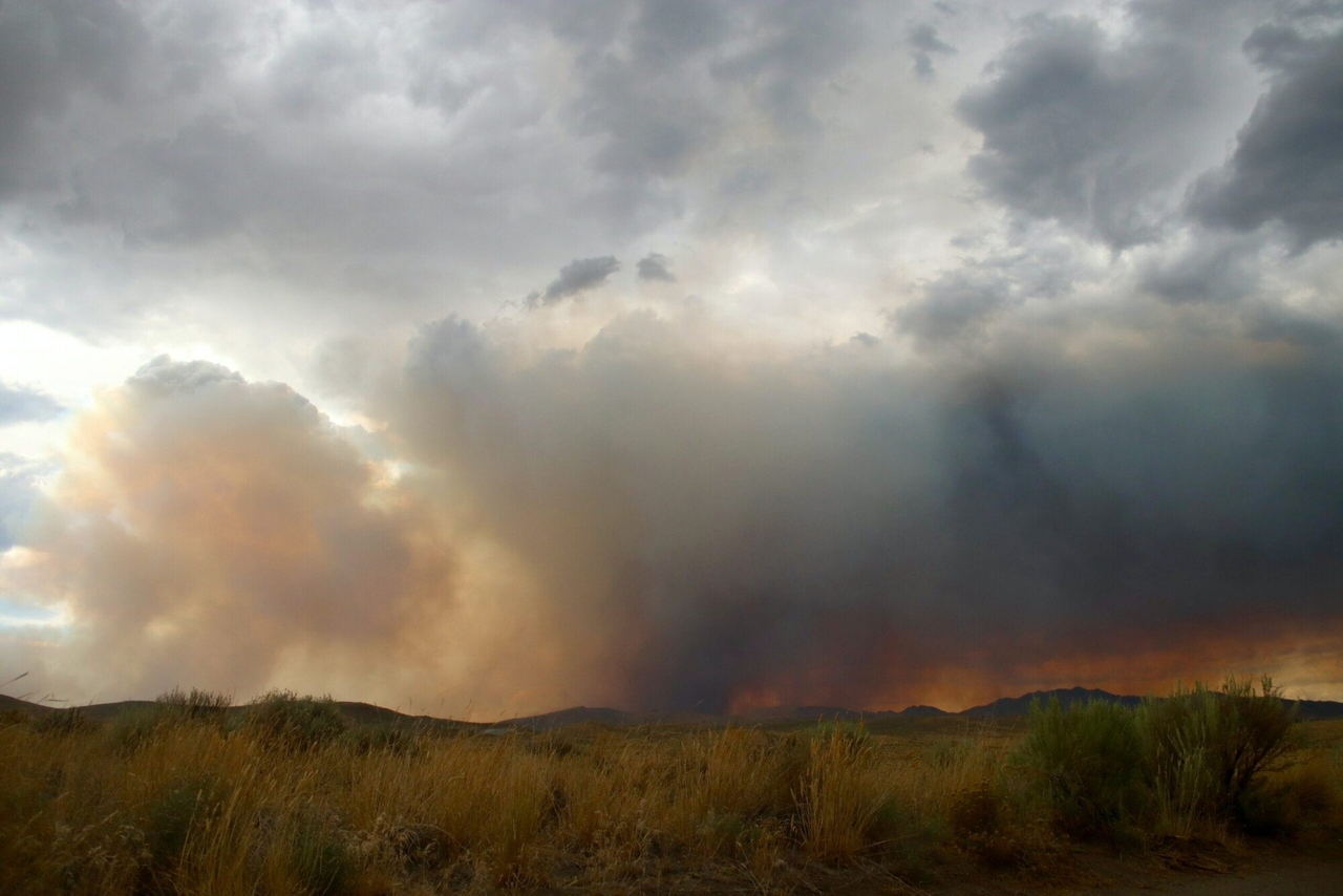 Incendi: il DGS emana raccomandazioni su cosa fare in caso di esposizione al fumo