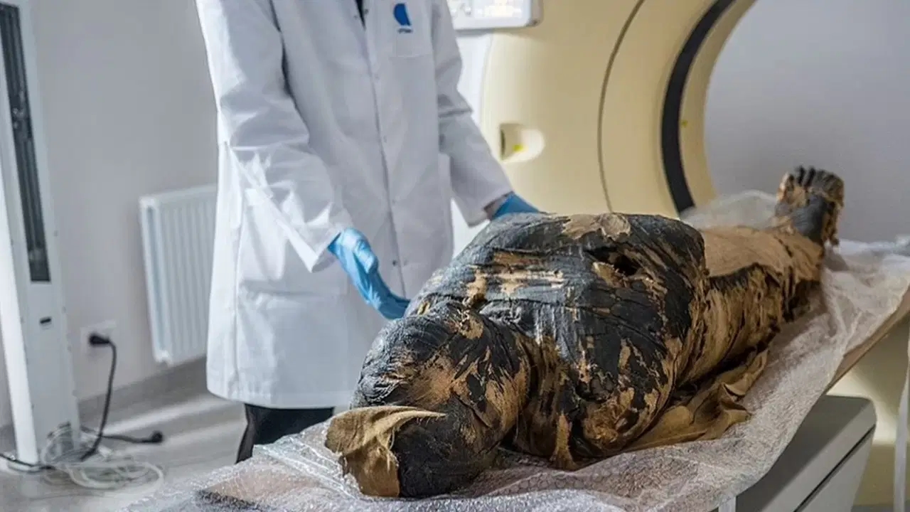 Starożytny grzyb daje nadzieję na leczenie raka: „Klątwa mumii” może utorować drogę nowym lekom