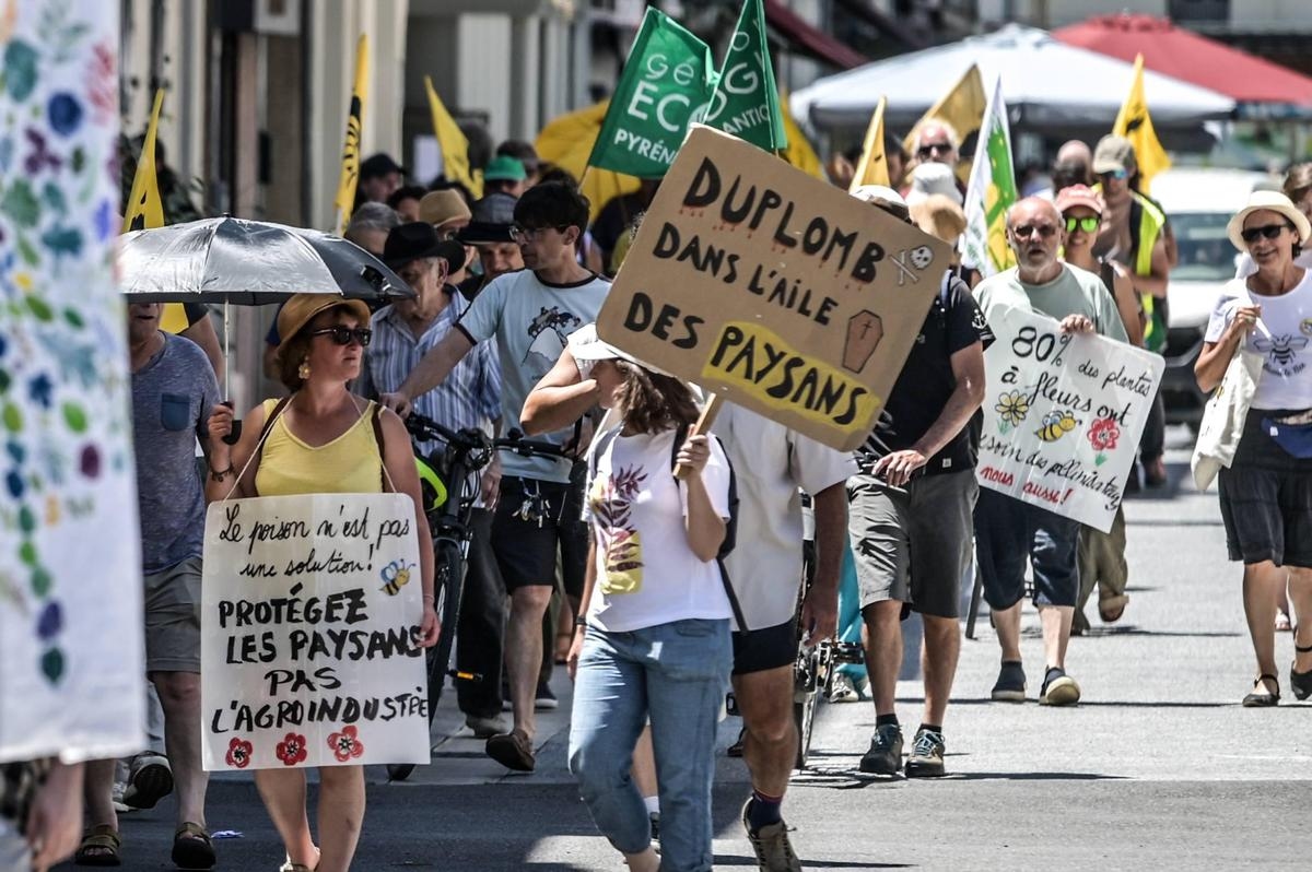Petycja przeciwko ustawie Duplomba: student z Bordeaux stoi za rekordową mobilizacją