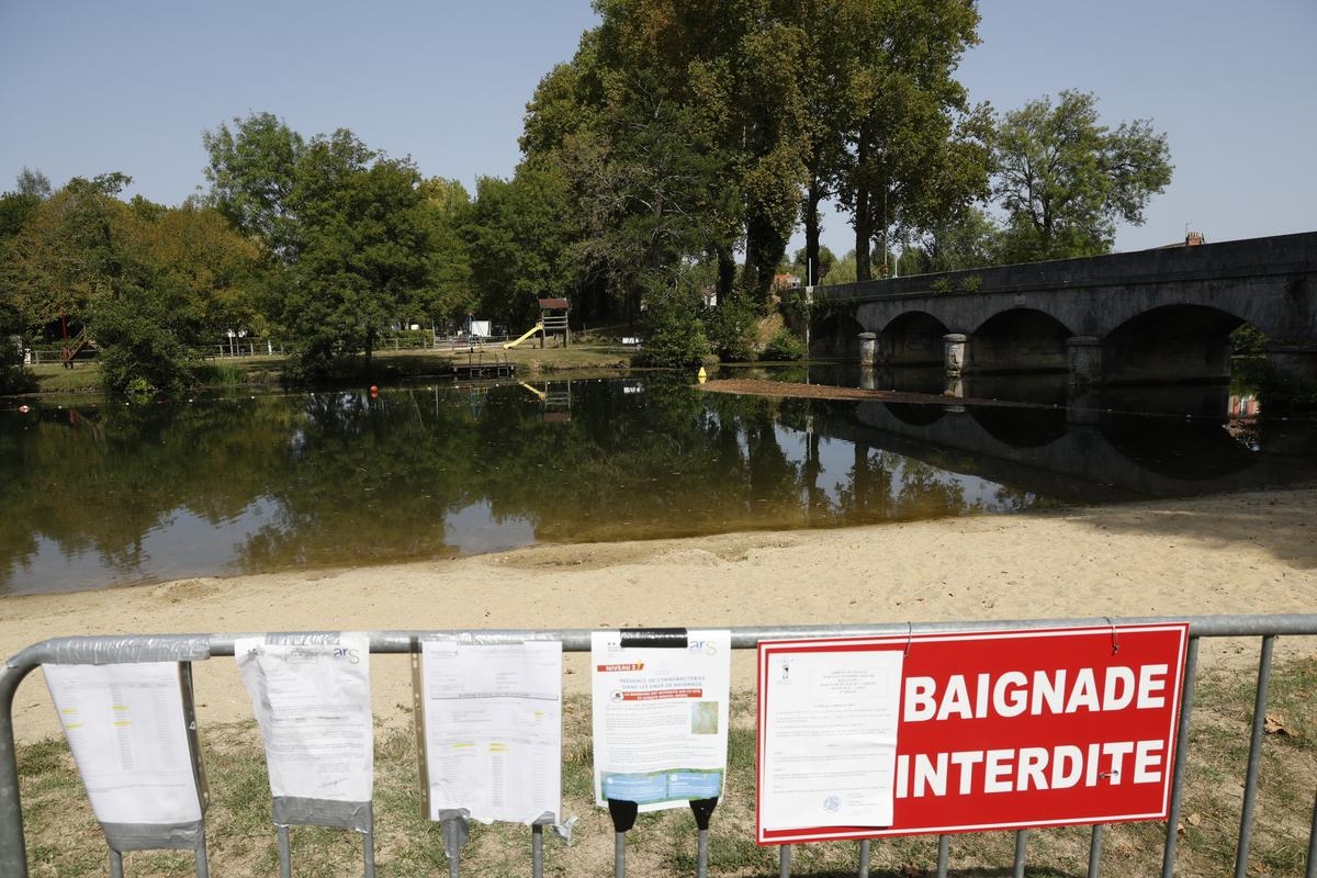 „Jeśli tak dalej pójdzie, kemping zostanie zamknięty”: sinice, trucizna lata w tym zakątku Dordogne