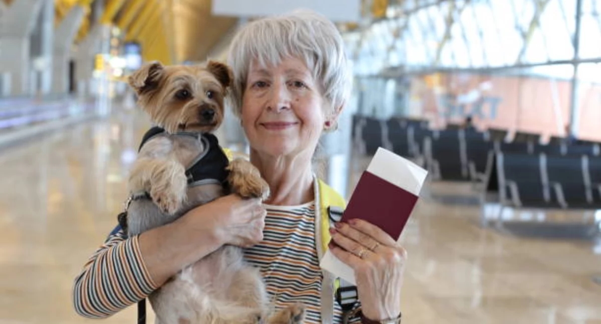 Senior an Bord. Was sollten Sie bei der Planung einer Flugreise beachten?