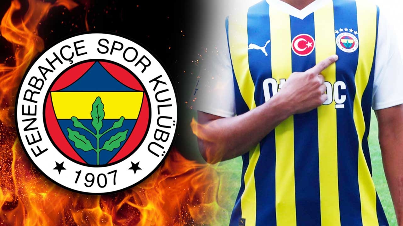 Er wechselte kostenlos zu Fenerbahçe, er wird für 5 Millionen Euro gehen