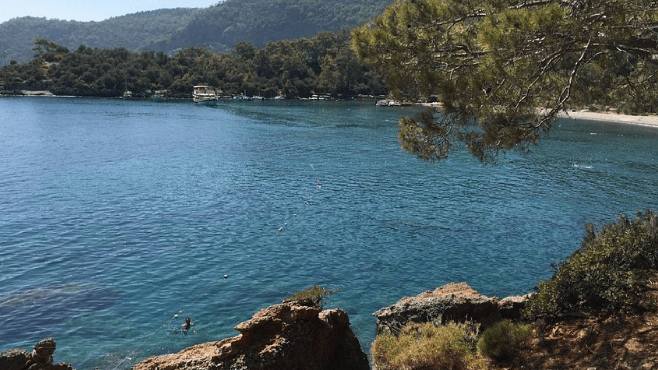 Un nouveau coup porté à la nature par l'AKP ! La forêt est finie, place à la mer.