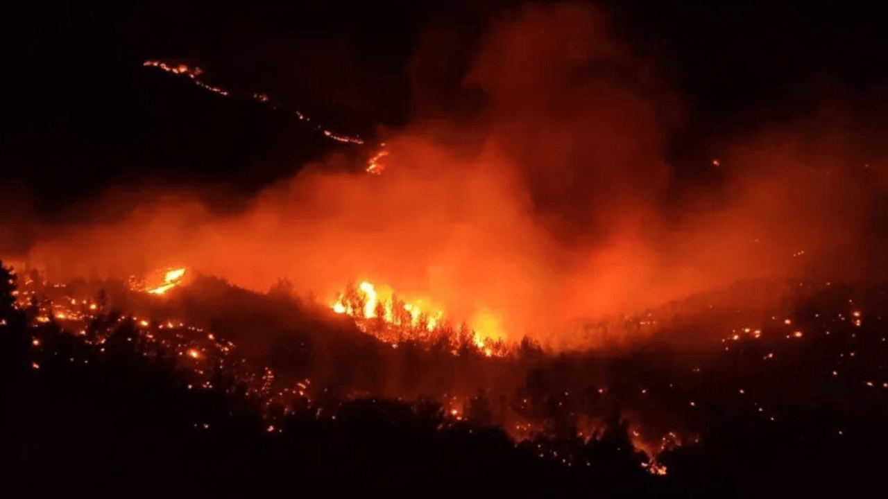 Bosbrand in Hatay!
