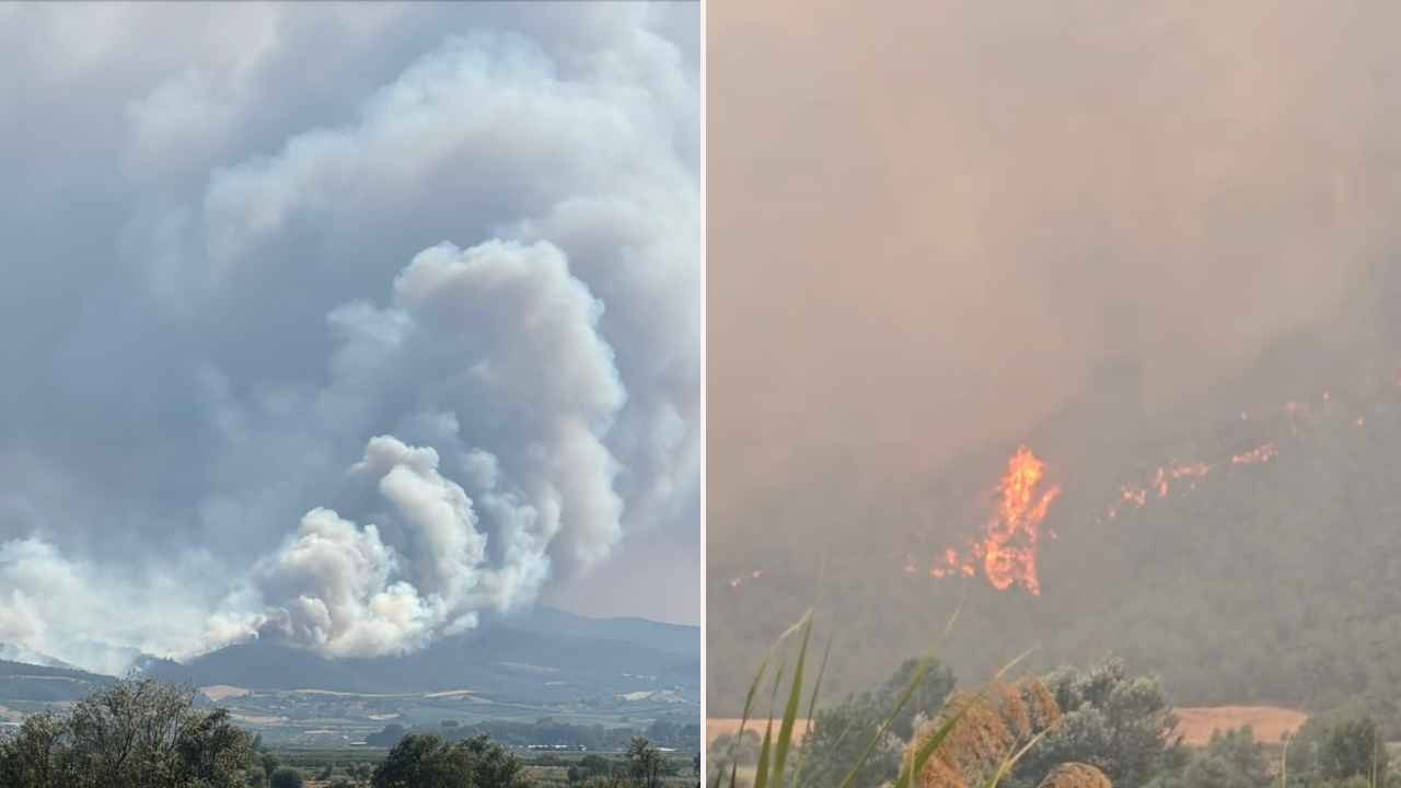 In Sakarya brach ein neues Feuer aus und die Flammen griffen auf Bilecik über!