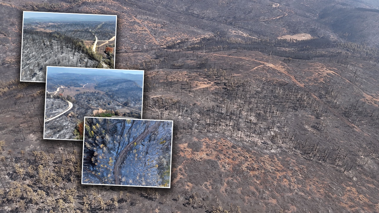 Nossos pulmões queimaram! As imagens tiradas após o incêndio foram de cortar o coração.