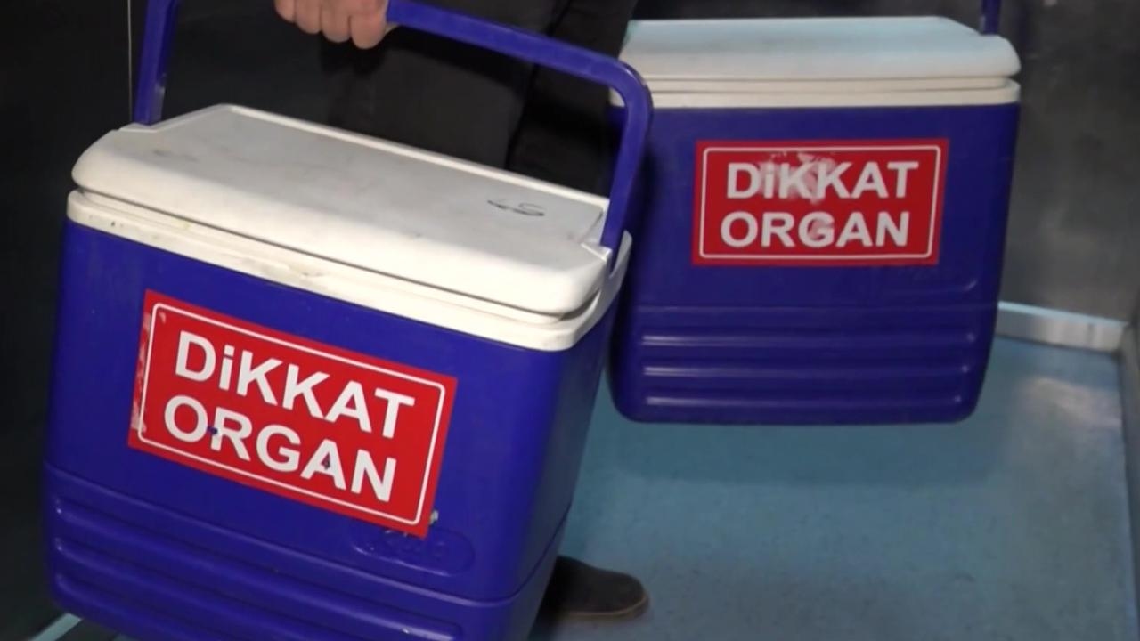 As doações de órgãos podem ser feitas através do eGovernment e do eNabız
