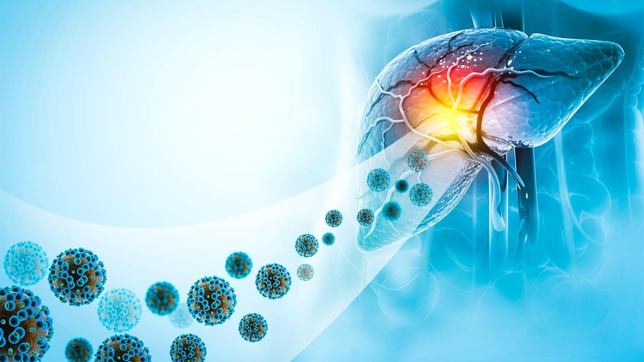 The silent enemy of the liver: Hepatitis