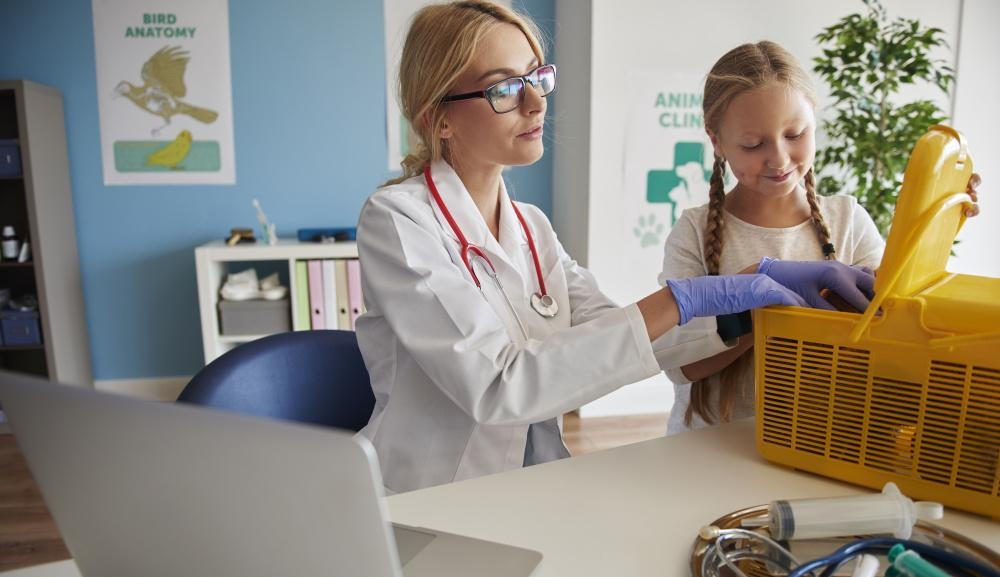 El Departamento de Salud de Moscú ha actualizado el estándar de educación prevocacional "Clase de Medicina en las Escuelas de Moscú".